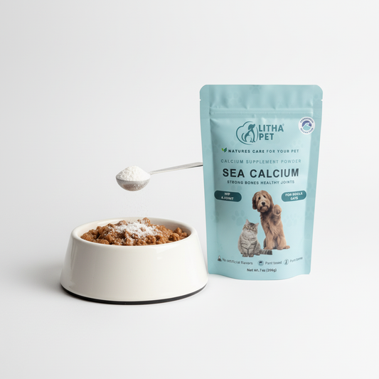 Kullanım Görseli v2